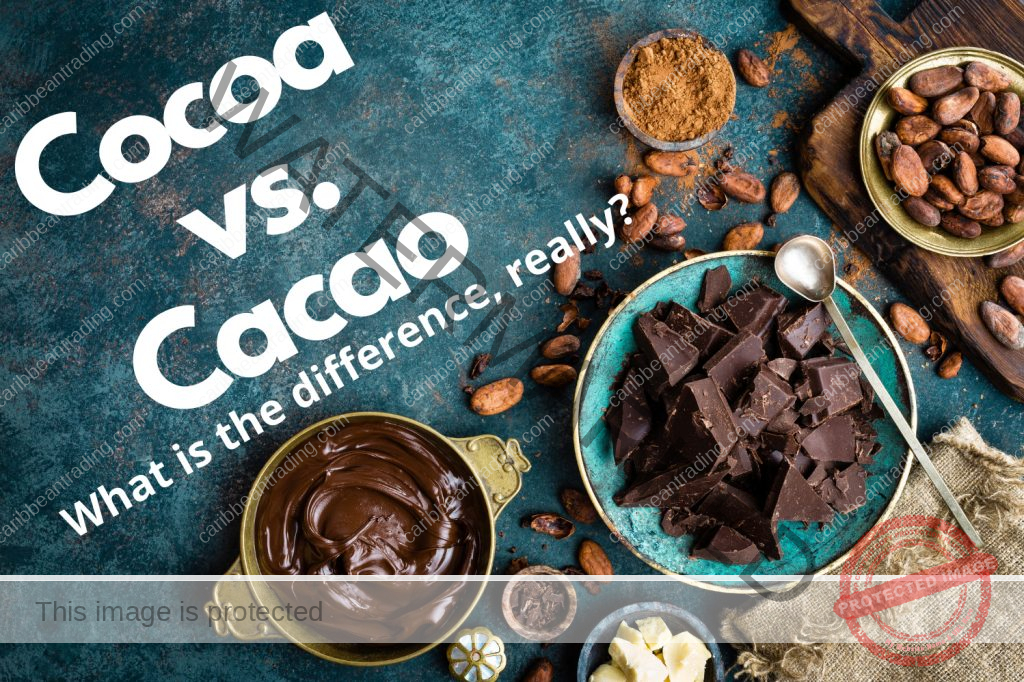 Cocoa vs. Cacao
