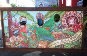 Caribbean Trading El Yunque National Forest