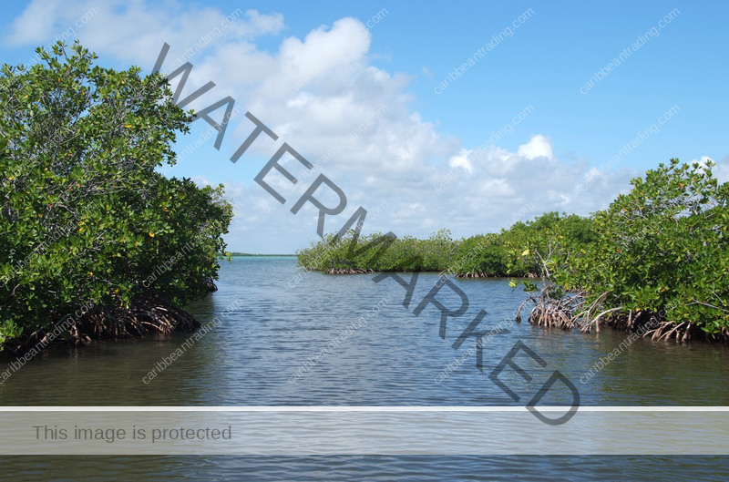 humacao reserve humacao puerto rico