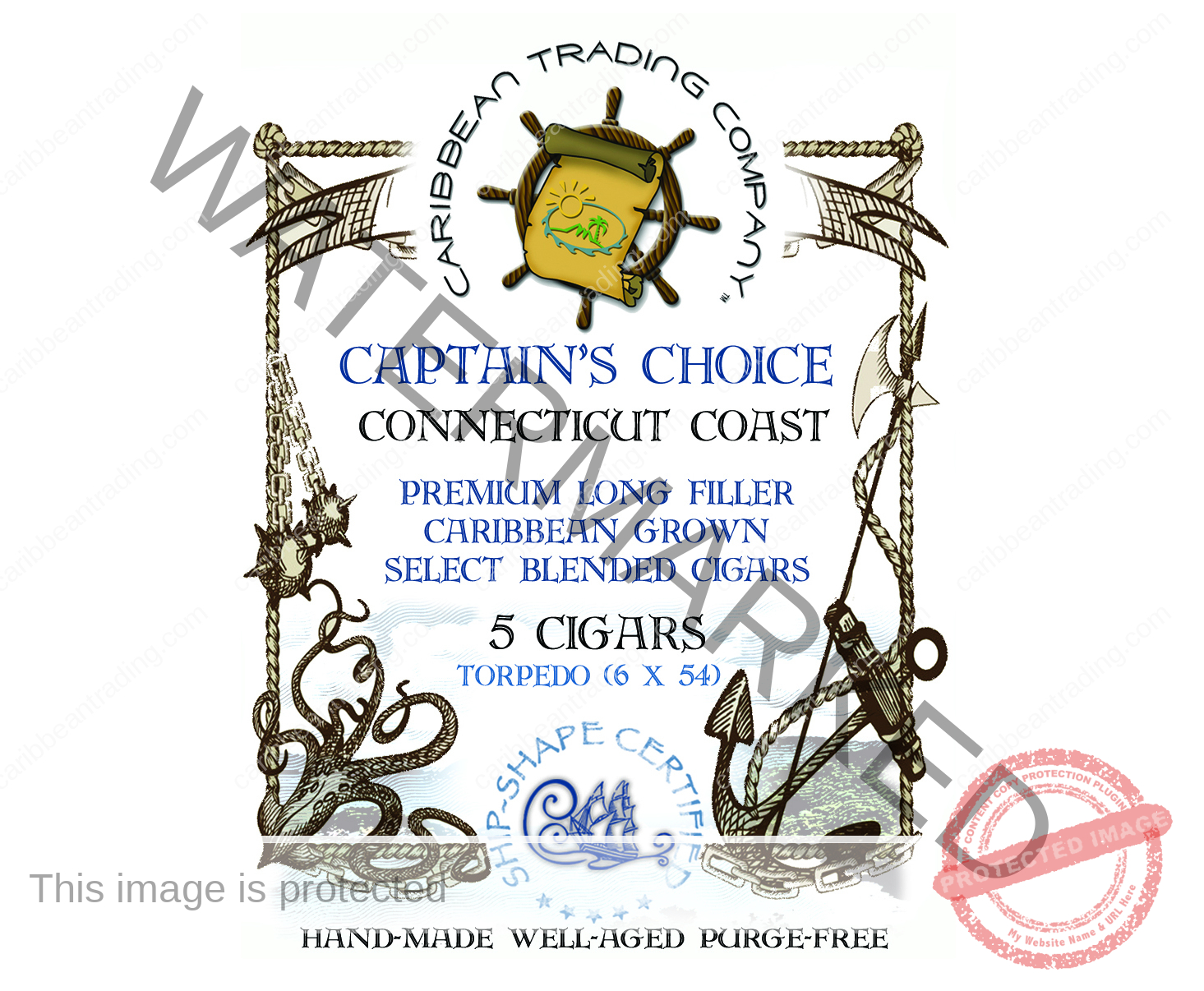 Captain's Choice Connecticut Shade Robusto Cigar (5 x 50) 5 Pack - Image 7