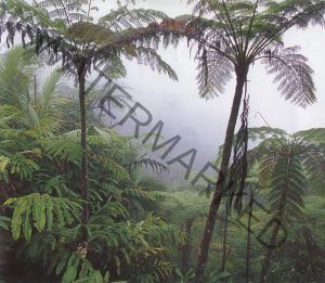 Puerto Rico Geography Facts