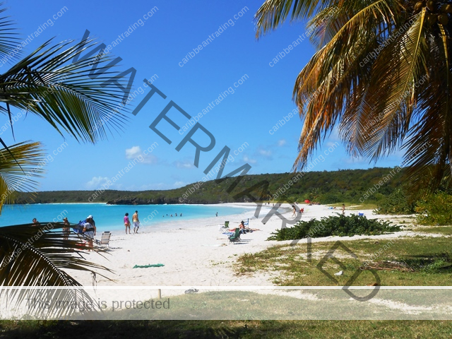 Vieques Beaches