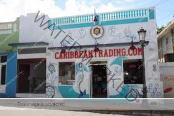 rincon puerto rico shopping