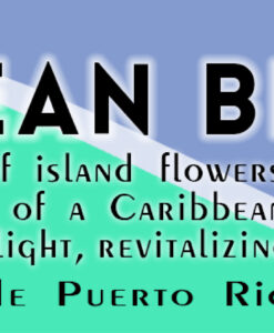 soy-candle-ocean-breeze