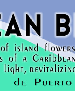 soy-candle-ocean-breeze