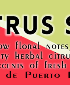 soy-candle-citrus-sage