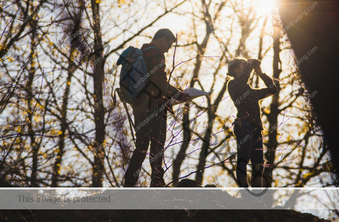 Survival Experiences in Nature