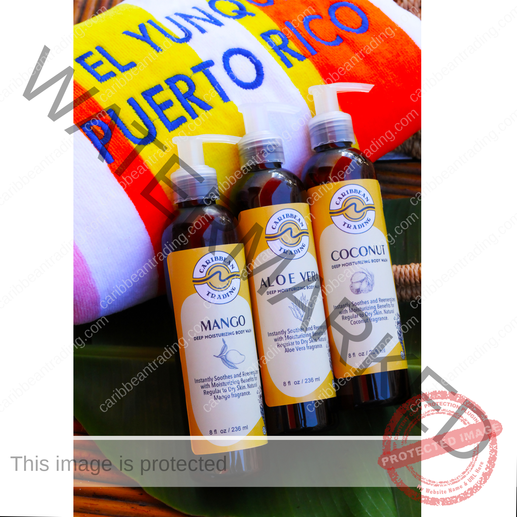 Moisturizing Body Wash-Aloe Vera 8 oz. - Image 4