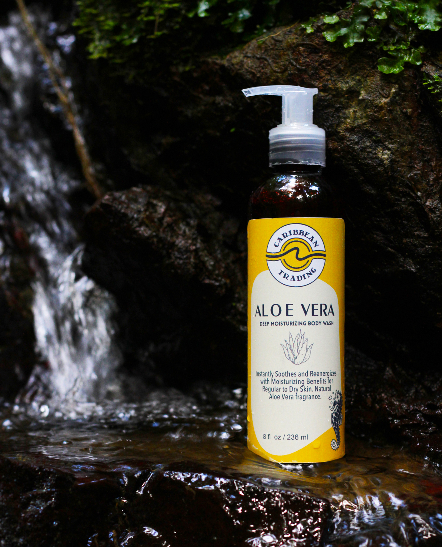 Moisturizing Body Wash-Aloe Vera 8 oz. - Image 2