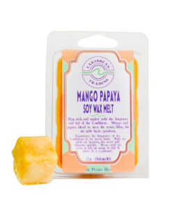 Mango Papaya Soy Wax Melt