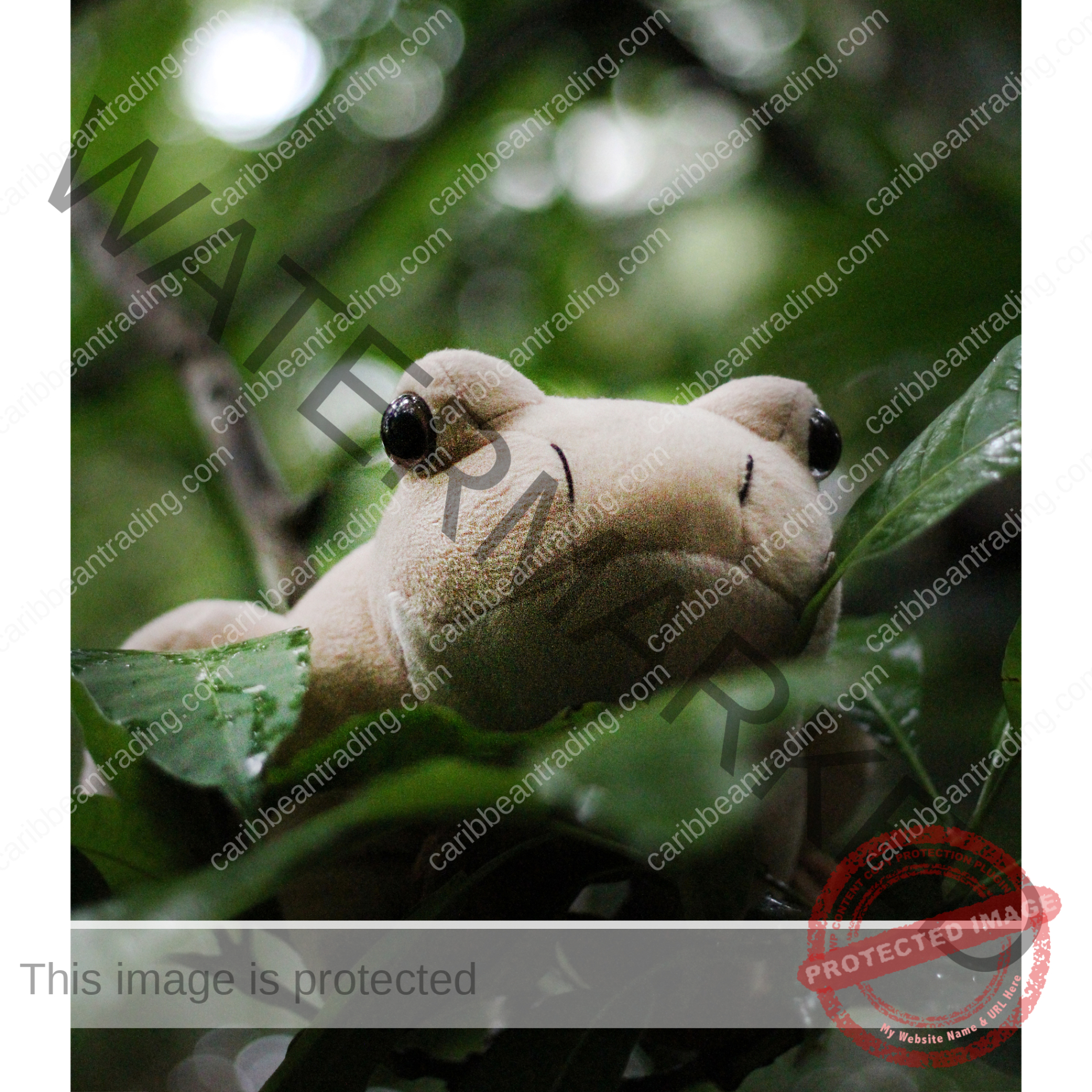 Large Coqui Plush - No Suction - Image 5