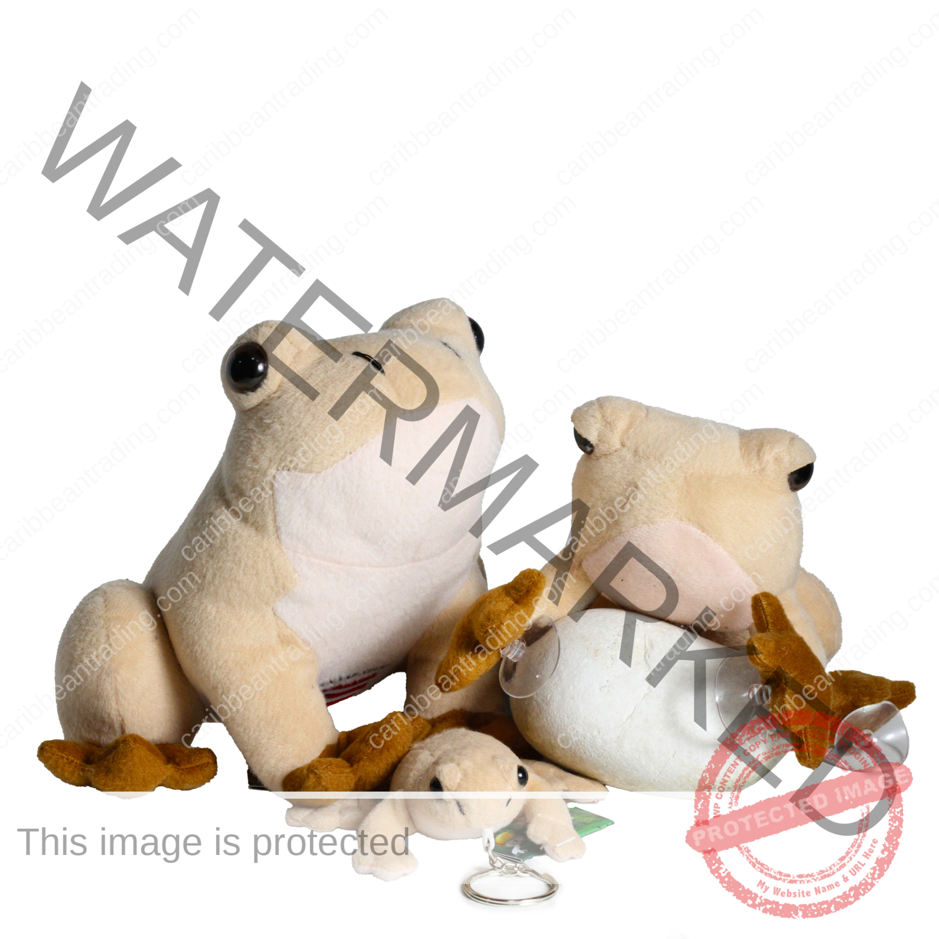 Large Coqui Plush - No Suction - Image 3