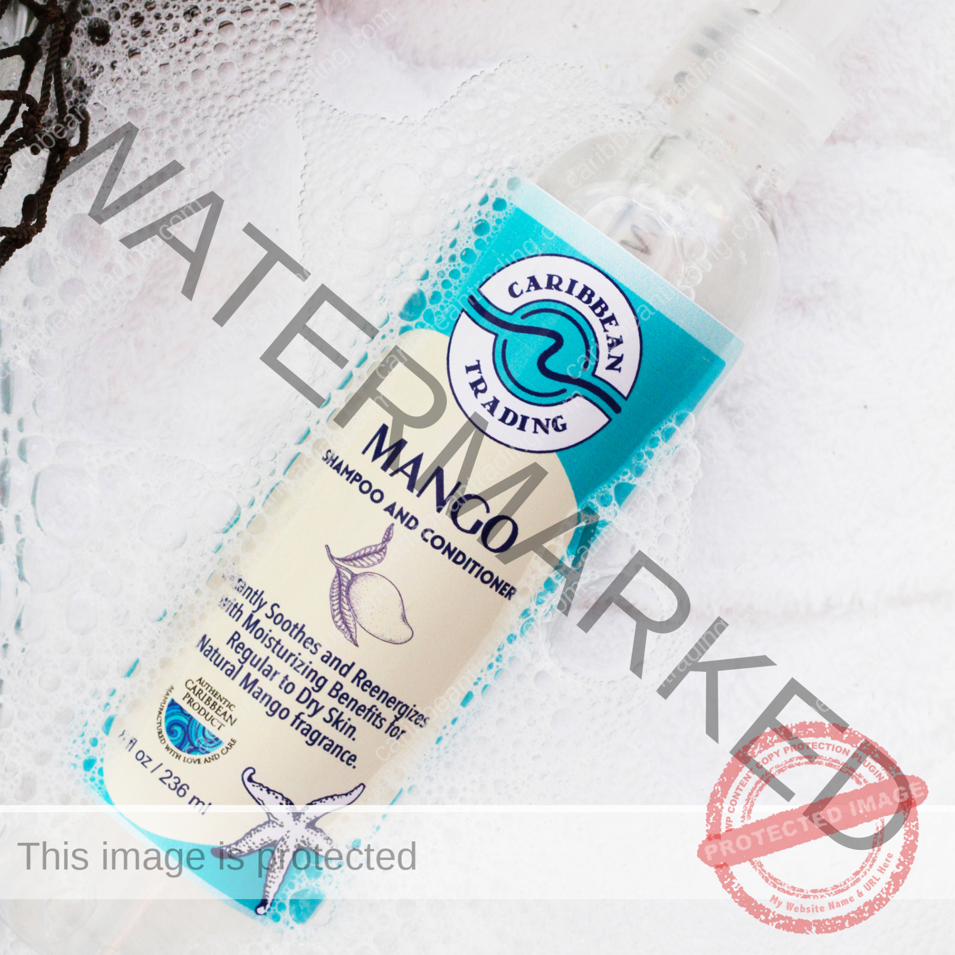 Mango Moisturizing Shampoo-Conditioner 8 oz. - Image 2