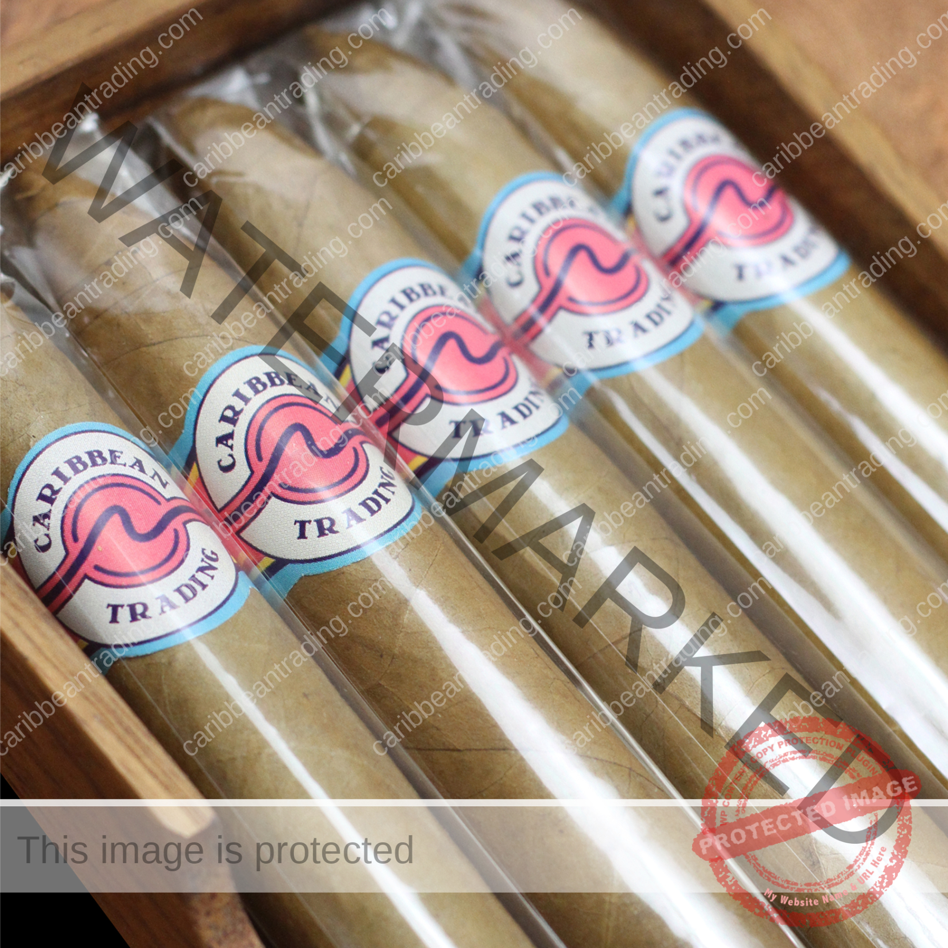 Captain's Choice Connecticut Shade Robusto Cigar (5 x 50) 5 Pack - Image 3