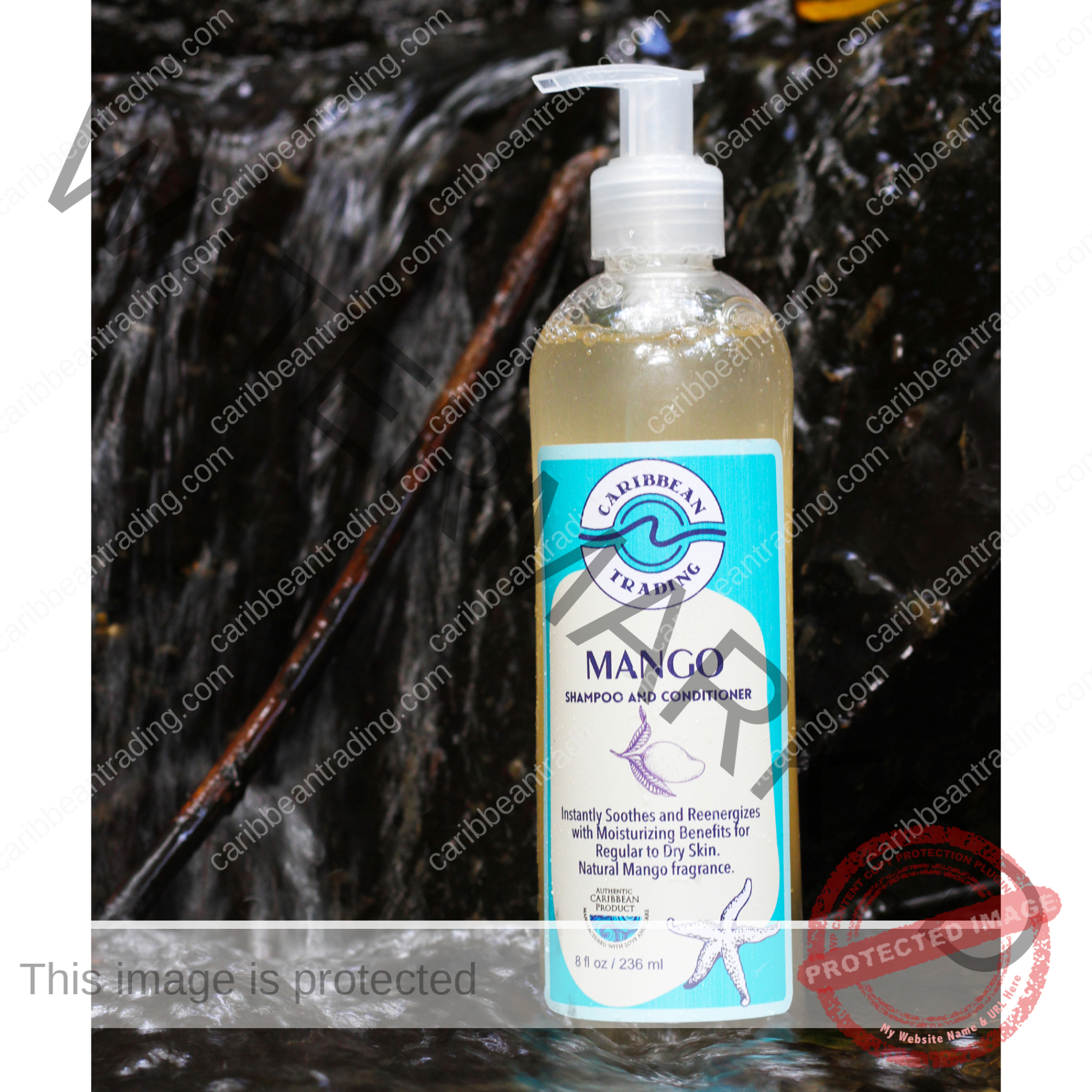 Mango Moisturizing Shampoo-Conditioner 8 oz. - Image 3