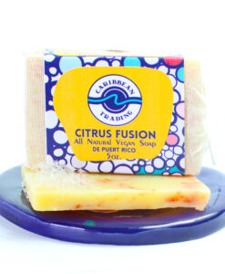 Citrus Fusion Handmade All Natural Vegan Aloe Soap