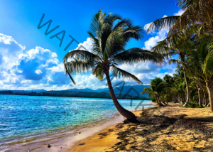 Weather in Puerto Rico. What to do in each season