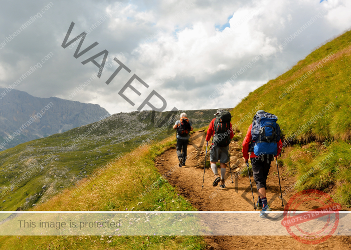 caribbean excursions