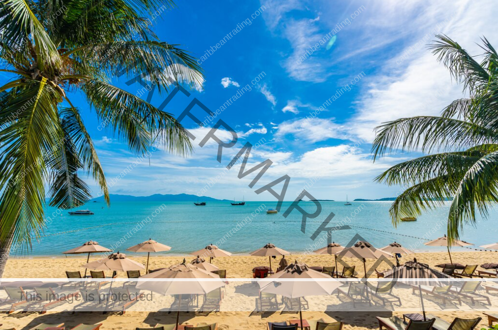 cayman islands vs puerto rico