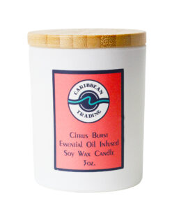 Citrus Burst Soy  3oz. Soy Candle