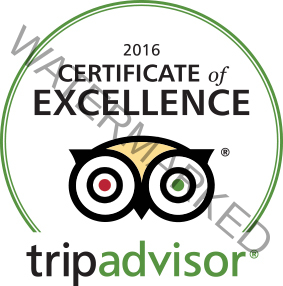 tripadvisor certificate of excellence