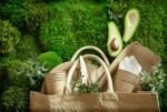 eco friendly travel products
