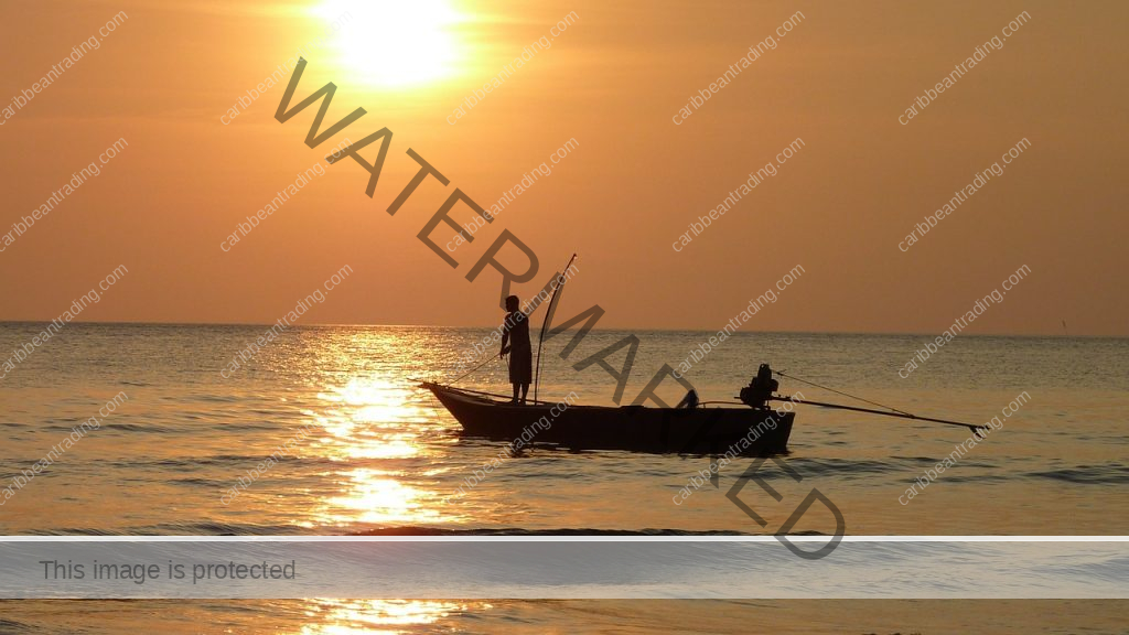 caribbean fishing