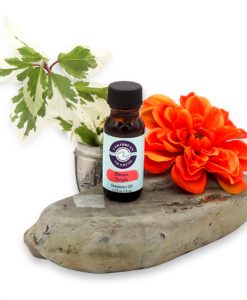 Brown Sugar Fragrance Oil 1/2 oz.