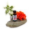 Caribbean Vanilla Fragrance Oil 1/2 oz.