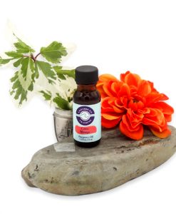 Coco Mango Fragrance Oil 1/2 oz.