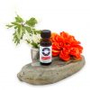 El Yunque Mist Fragrance Oil 1/2 oz.