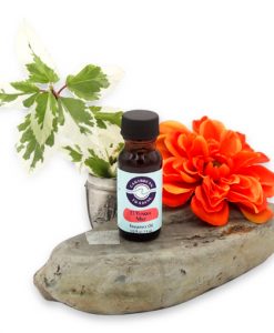 El Yunque Mist Fragrance Oil 1/2 oz.