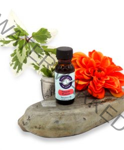 Fragrant-Plumeria Fragrance Oil 1/2 oz.
