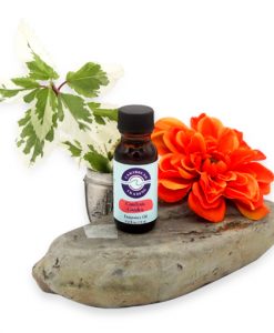 Gardenia Garden Fragrance Oil 1/2 oz.