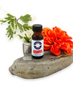 Lavender Lace Fragrance Oil 1/2 oz.