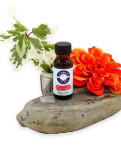 Orgasmic Blast Fragrance Oil 1/2 oz.