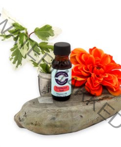 Sandalwood Trail Fragrance Oil 1/2 oz.