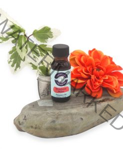 Strawberry Melon Fragrance Oil 1/2 oz.