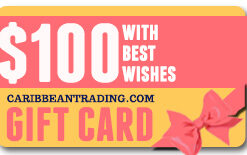 gift-card-$100