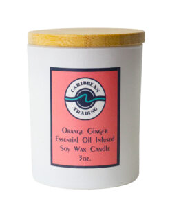 Orange Ginger 3oz. Candle