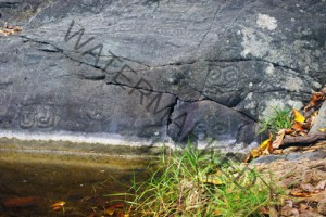 Taino Petroglyphs Puerto Rico