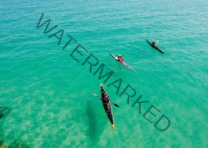 Kayaking Puerto Rico