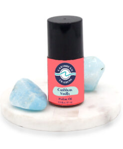 premium-grade-perfume-oil-caribbean vanilla