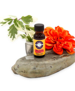 premium-grade-fragrance-oil-pina-colada-party