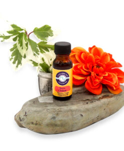 premium-grade-fragrance-oil-seven-chakras
