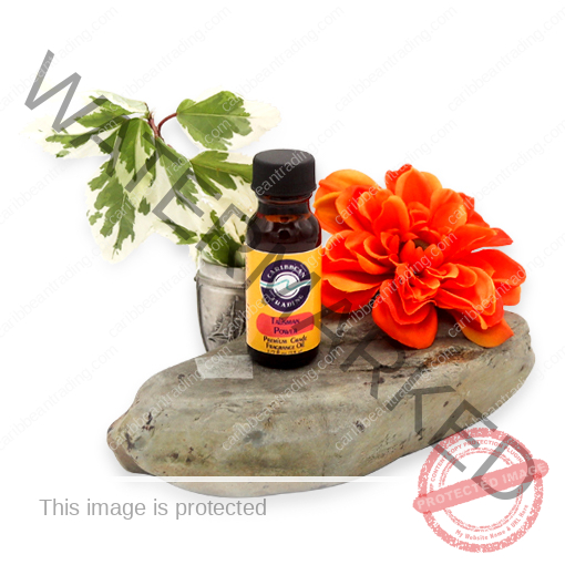 Talisman-Power-Premium-Fragrance Oil