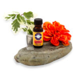 premium-grade-fragrance-oil-tropical-nag-champa