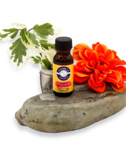 premium-grade-fragrance-oil-tropical-nag-champa
