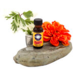 West-Indian-Jasmine-Premium-Fragrance Oil