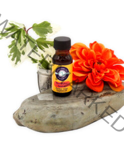 West-Indian-Jasmine-Premium-Fragrance Oil